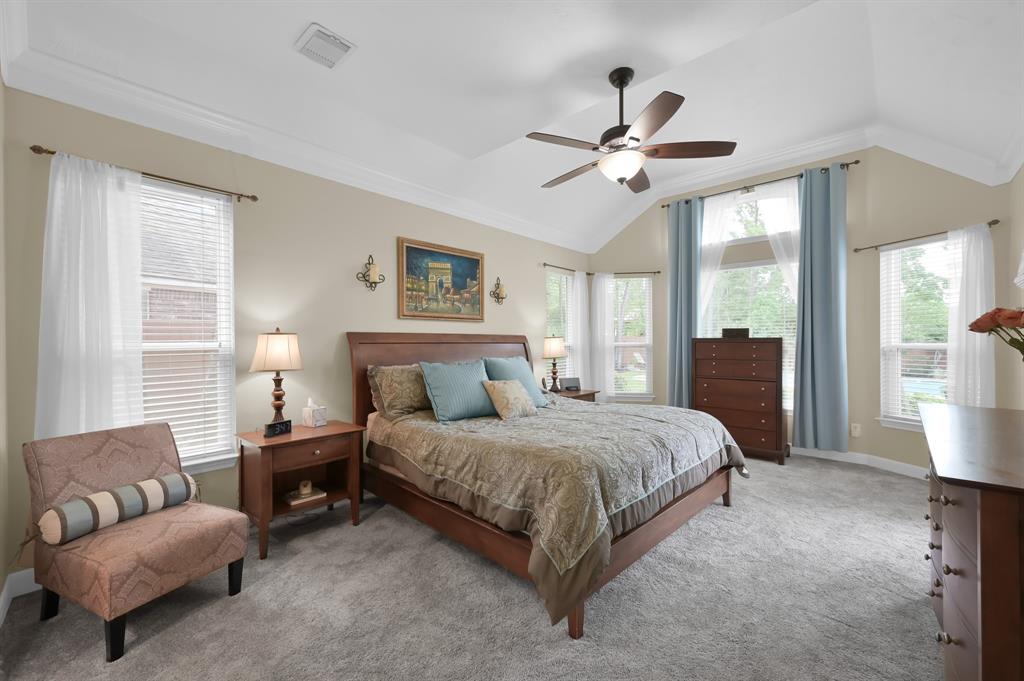 7 Newland Ct Ct, The Woodlands, Texas image 20