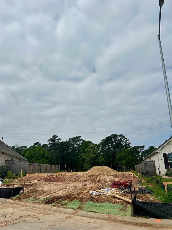 42223 Cubierto Trace Trce, Magnolia, Texas image 10
