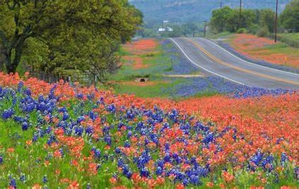 724 Eagle Lake Road, Sealy, Texas image 21