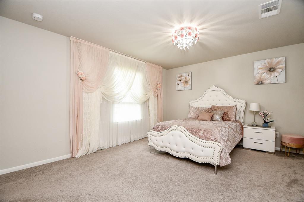 2707 Dry Creek Dr Dr, Missouri City, Texas image 21