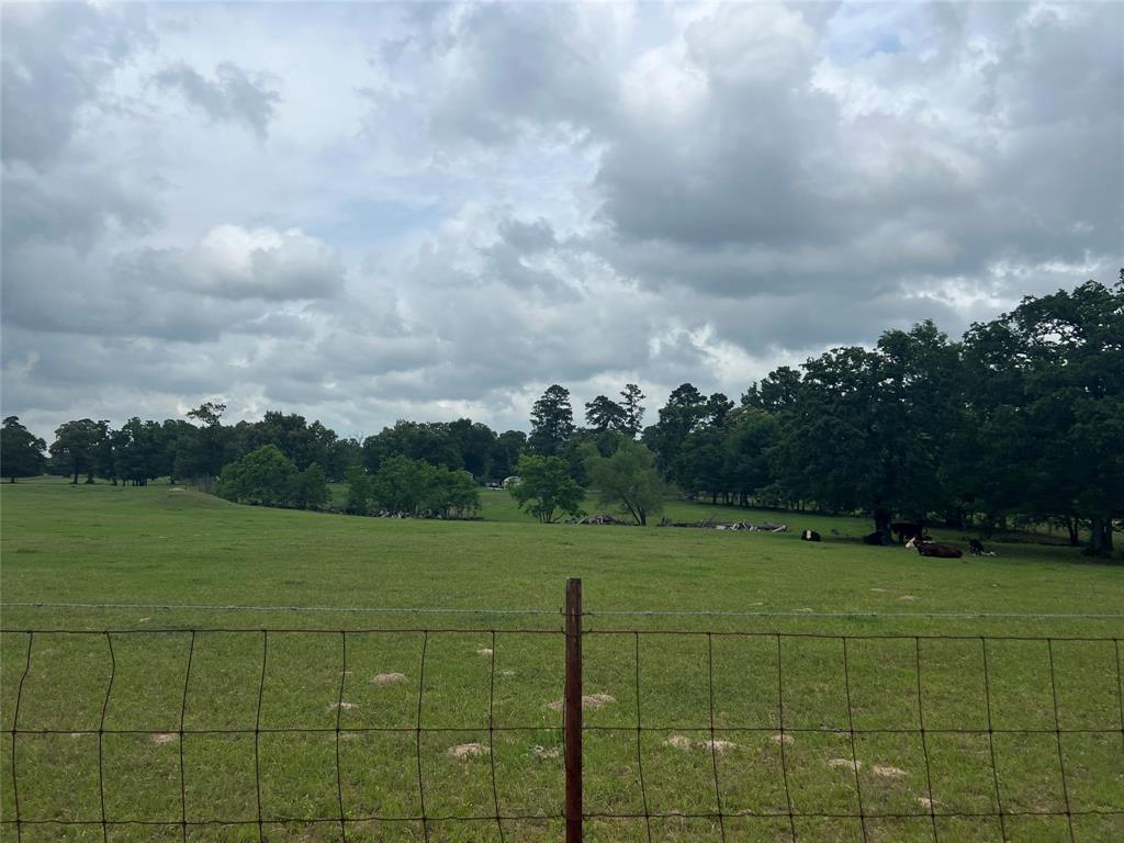 00005 Tx-105, Navasota, Texas image 5