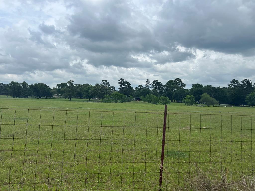 00005 Tx-105, Navasota, Texas image 6