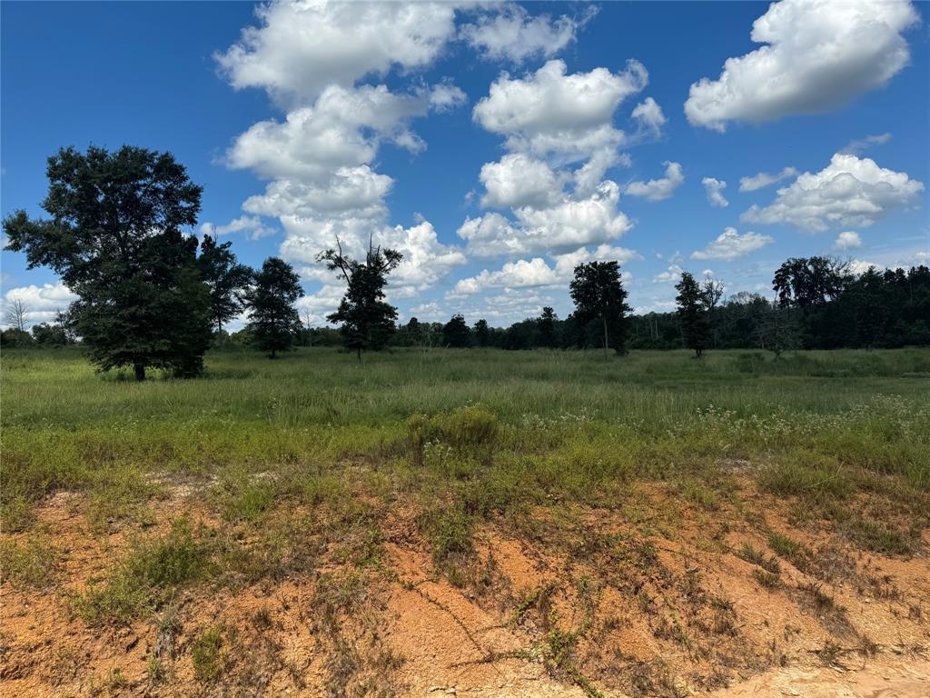 00000 County Road 1490, Center, Texas image 27