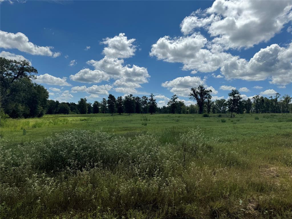 00000 County Road 1490, Center, Texas image 28