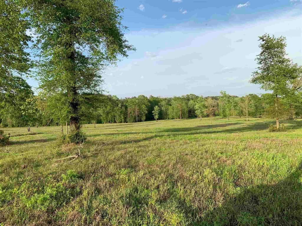 00000 County Road 1490, Center, Texas image 9