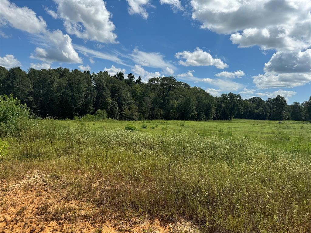 00000 County Road 1490, Center, Texas image 6