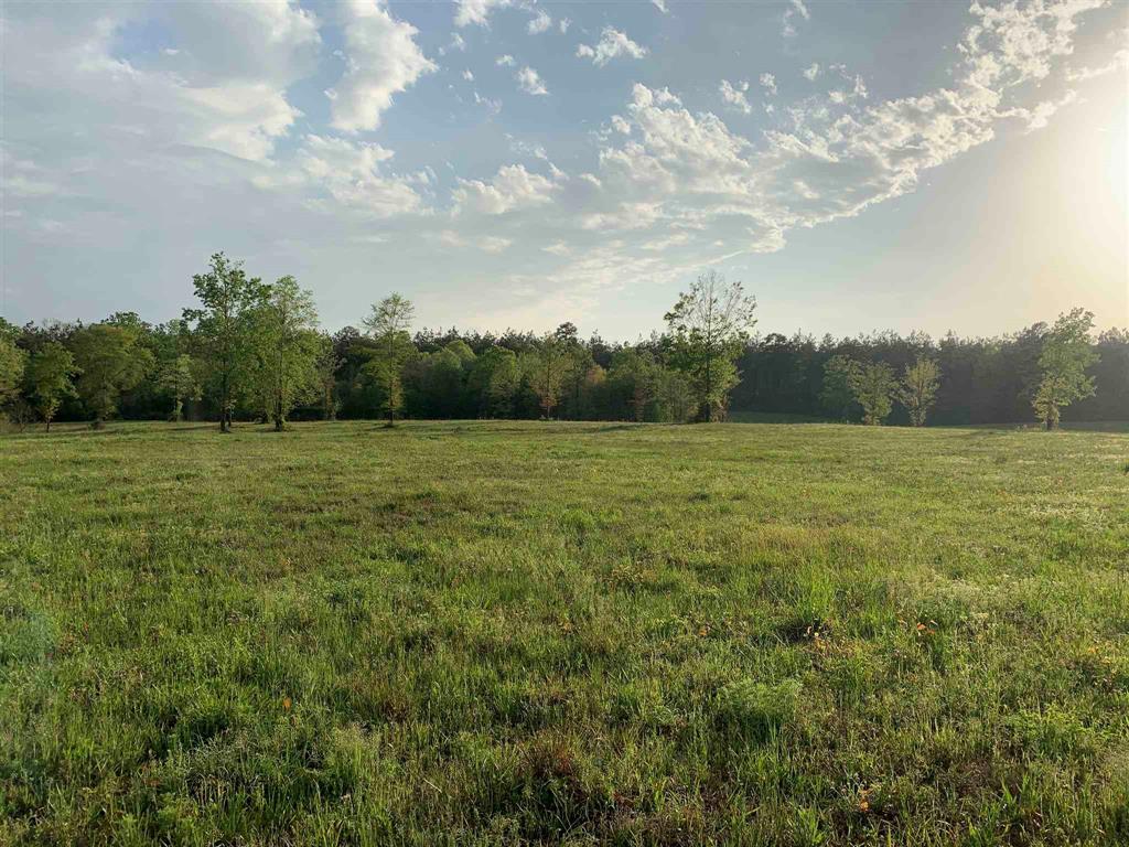 00000 County Road 1490, Center, Texas image 15