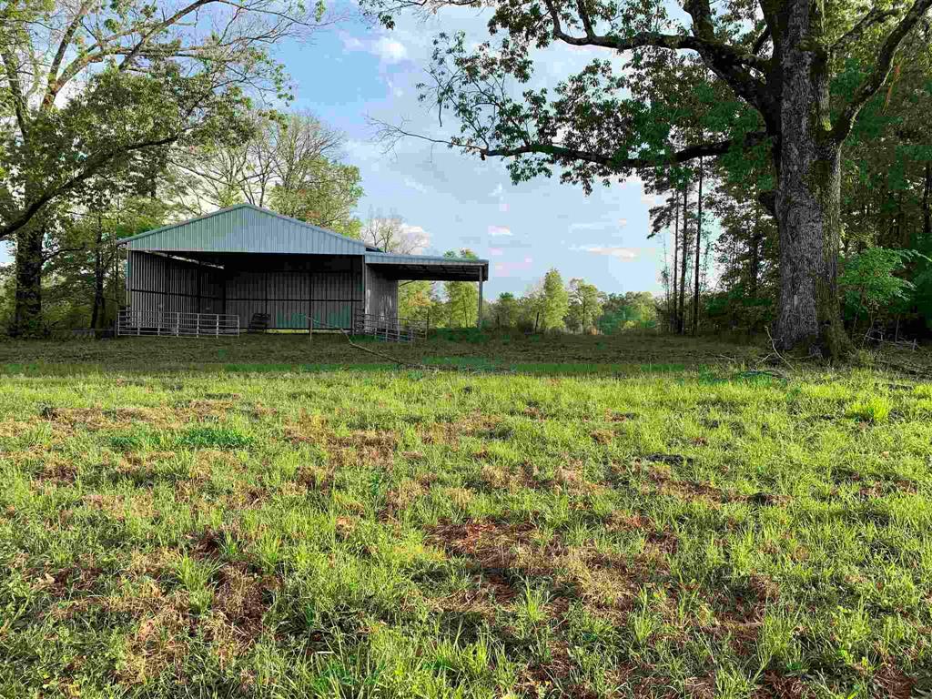 00000 County Road 1490, Center, Texas image 10