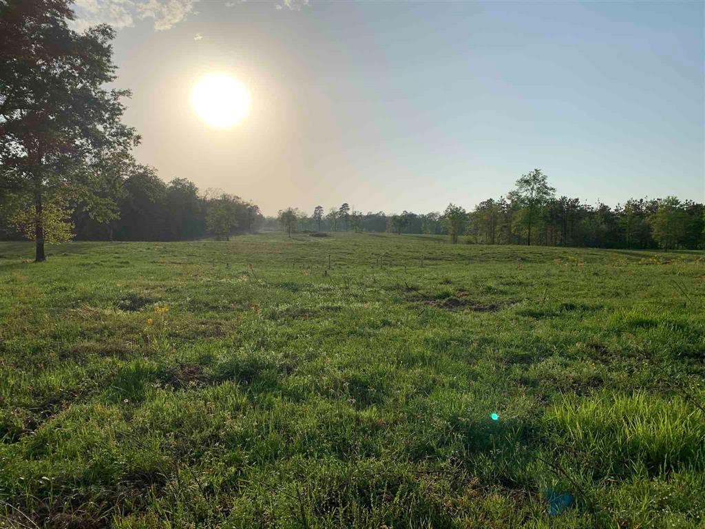 00000 County Road 1490, Center, Texas image 19