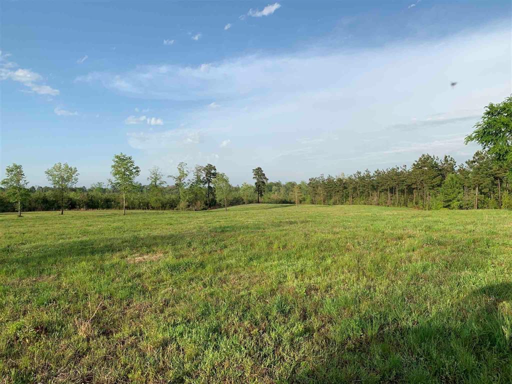 00000 County Road 1490, Center, Texas image 16