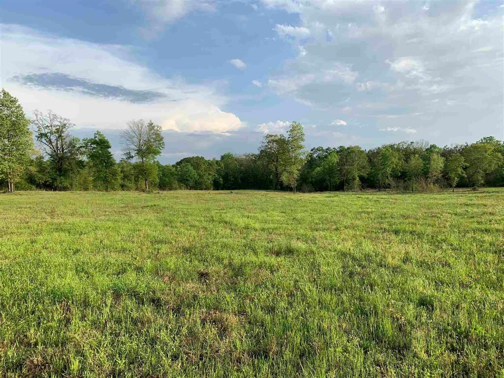 00000 County Road 1490, Center, Texas image 2