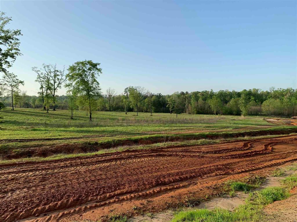 00000 County Road 1490, Center, Texas image 17