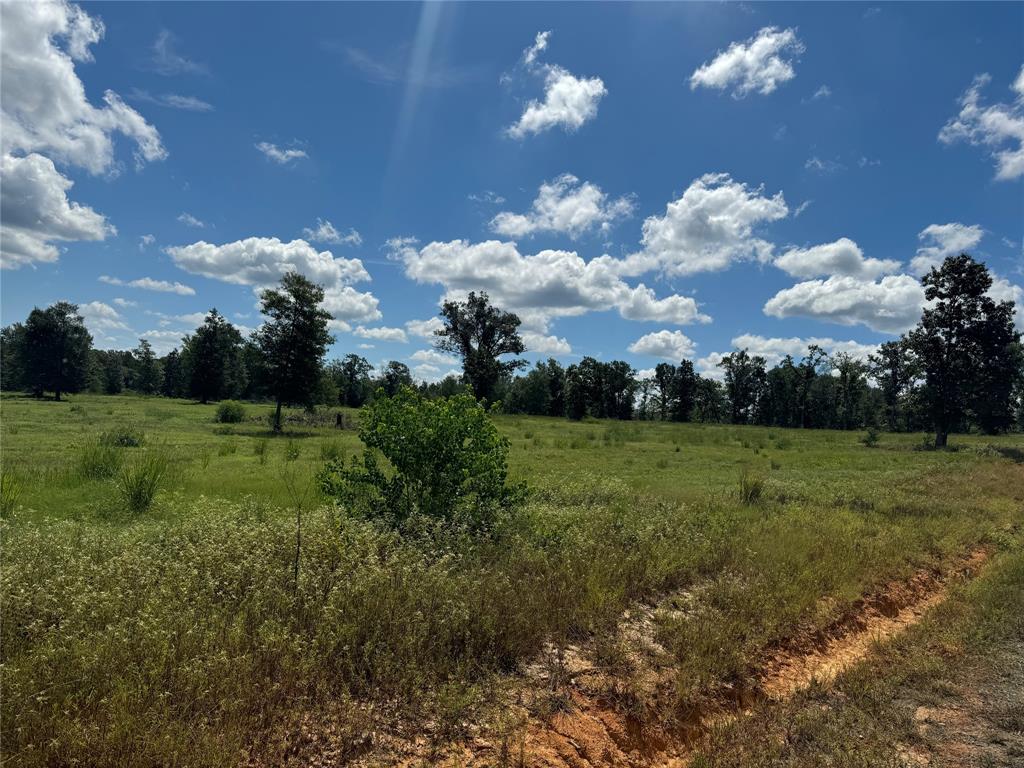 00000 County Road 1490, Center, Texas image 5