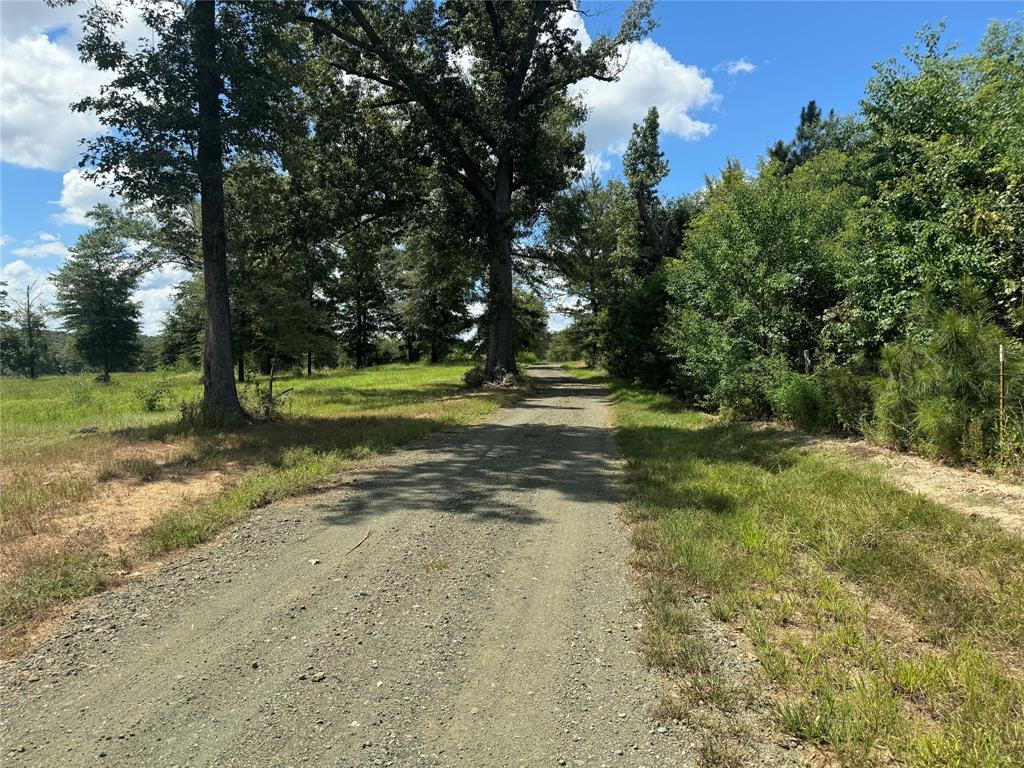 00000 County Road 1490, Center, Texas image 29