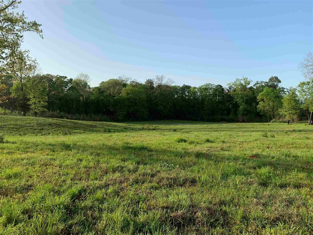 00000 County Road 1490, Center, Texas image 18