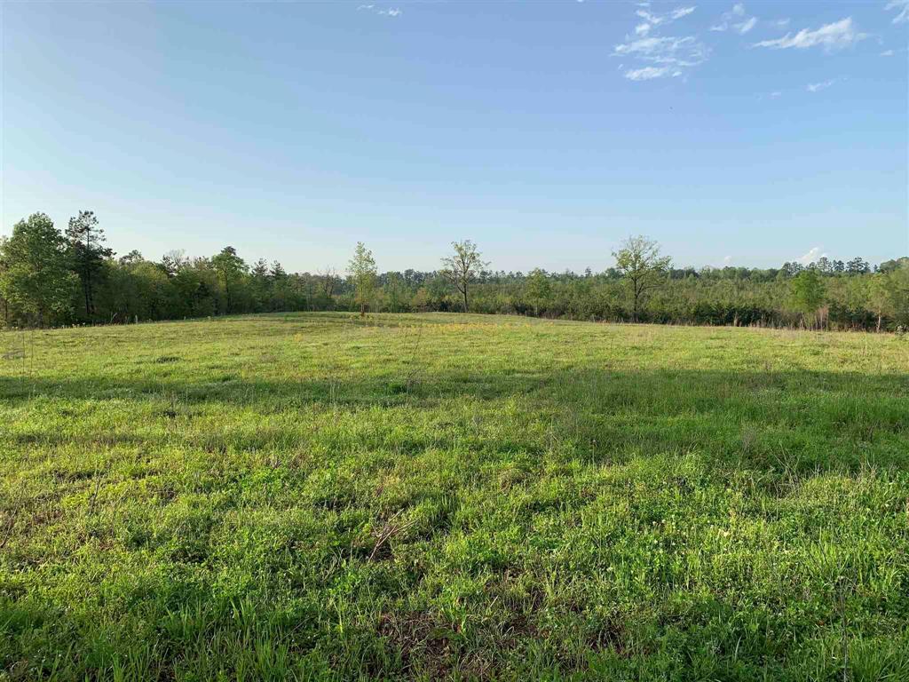 00000 County Road 1490, Center, Texas image 11