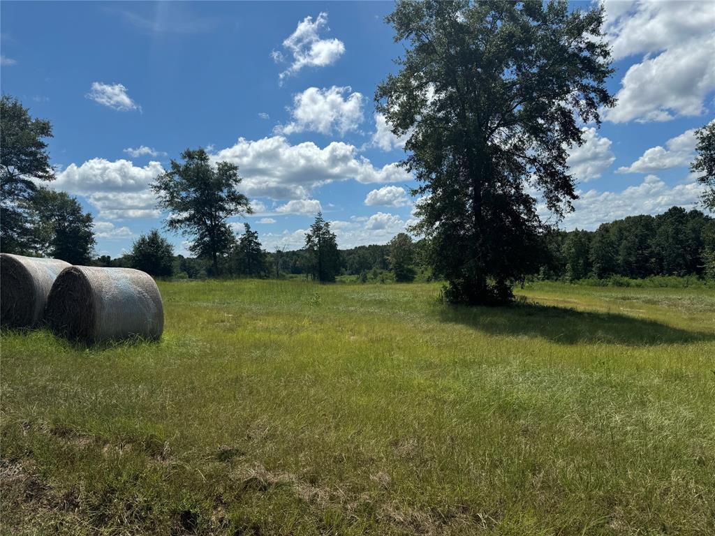 00000 County Road 1490, Center, Texas image 1