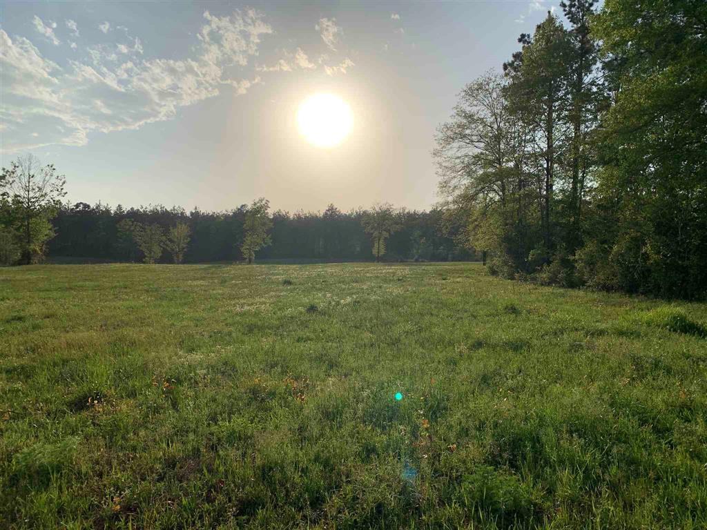 00000 County Road 1490, Center, Texas image 3