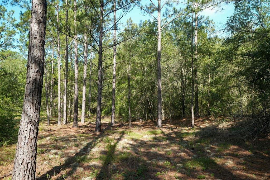 TBD 5 Fm 363, Newton, Texas image 33