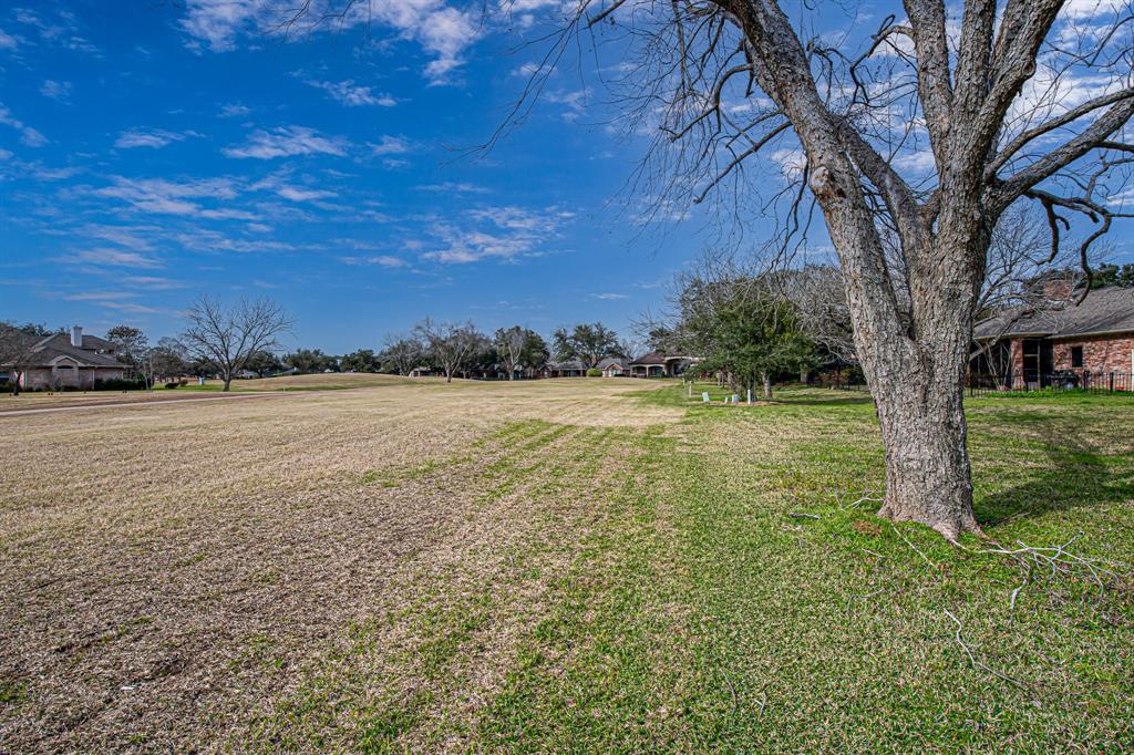 Windrush Street, Fulshear, Texas image 31