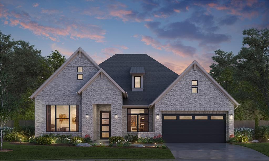 2702 Ametrine Dr, Iowa Colony, Texas image 1