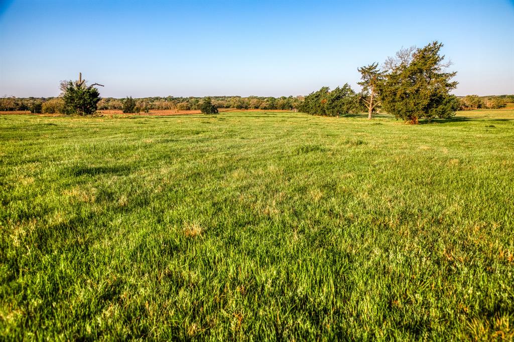 Tract 5 Fieldcrest Ln, Burton, Texas image 3