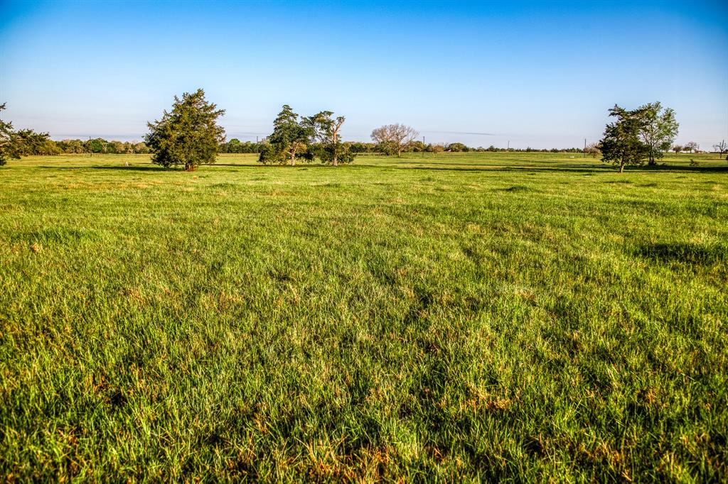 Tract 5 Fieldcrest Ln, Burton, Texas image 5