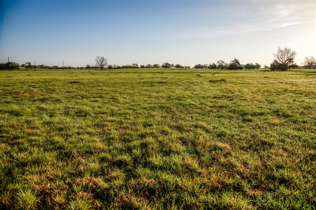 Tract 5 Fieldcrest Ln, Burton, Texas image 6