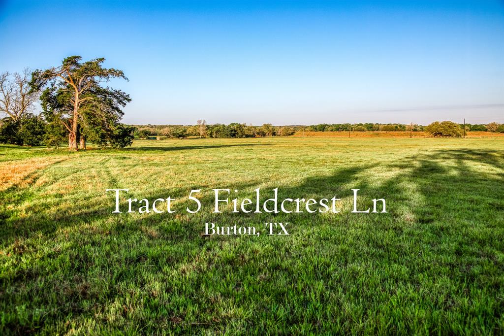 Tract 5 Fieldcrest Ln, Burton, Texas image 1