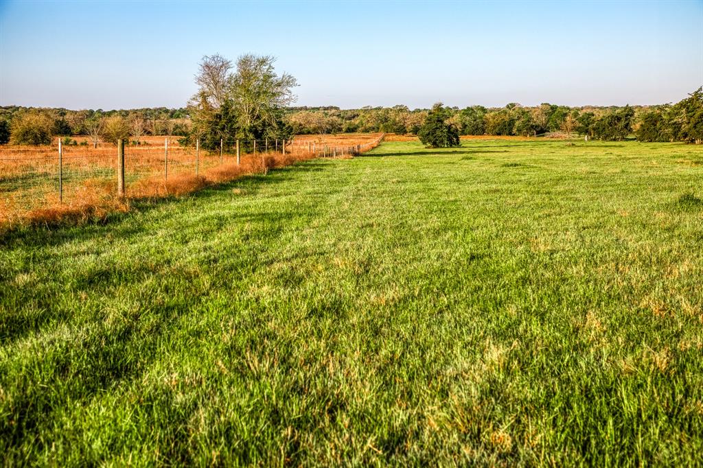 Tract 5 Fieldcrest Ln, Burton, Texas image 4