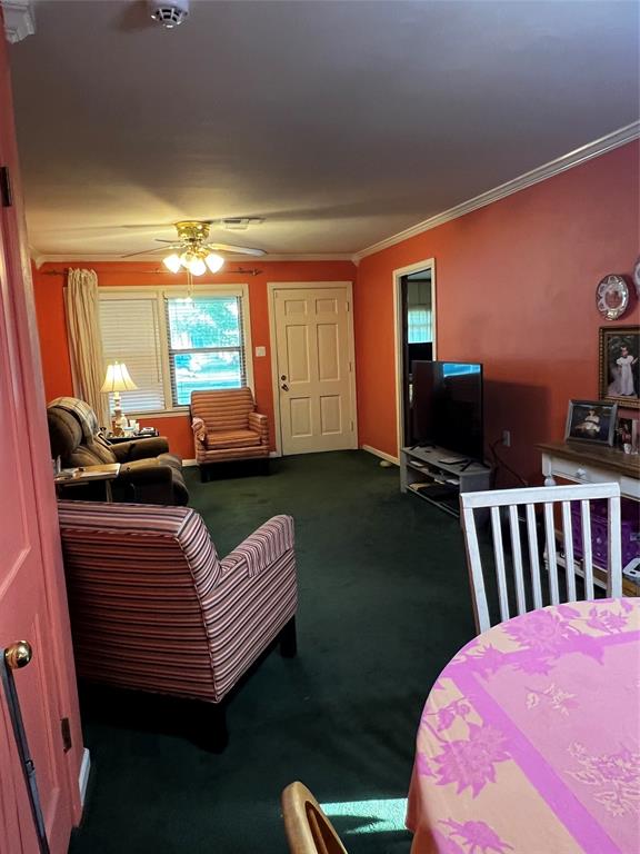 13229 Vicksburg Street, Houston, Texas image 10