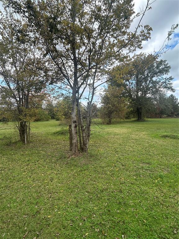17622 Queenslake Drive, Cypress, Texas image 8