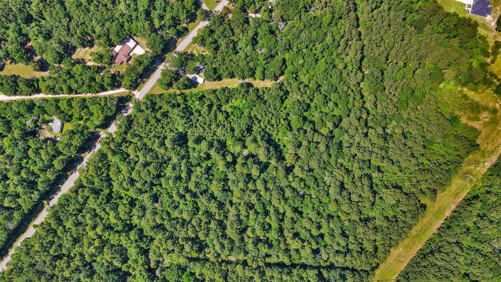 TBD Johnson Road, Huntsville, Texas image 13