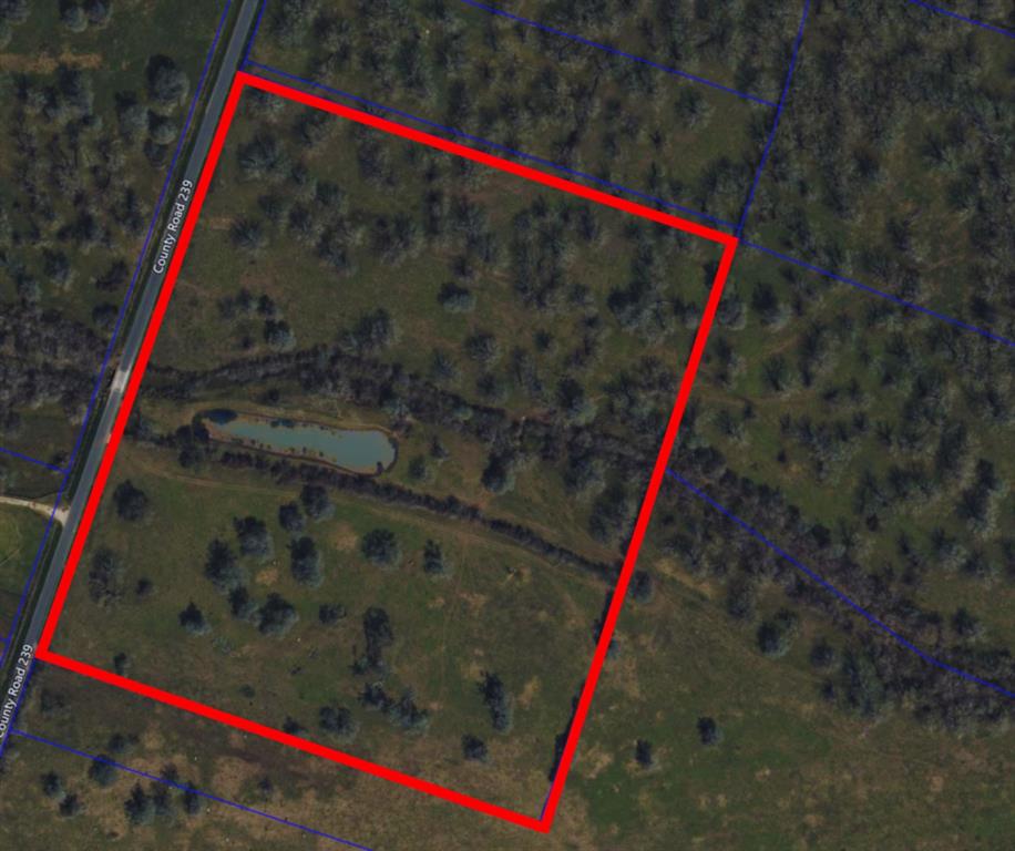 000 County Road 239, Wharton, Texas image 8