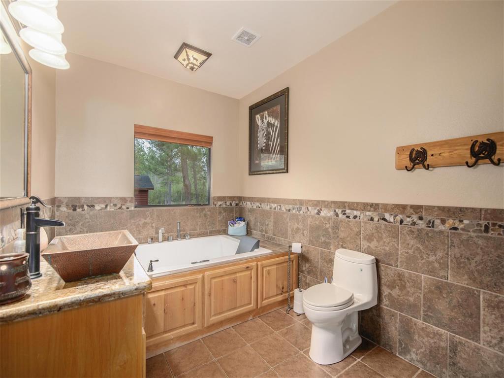 16867 Tierra Buena Drive, Plantersville, Texas image 24