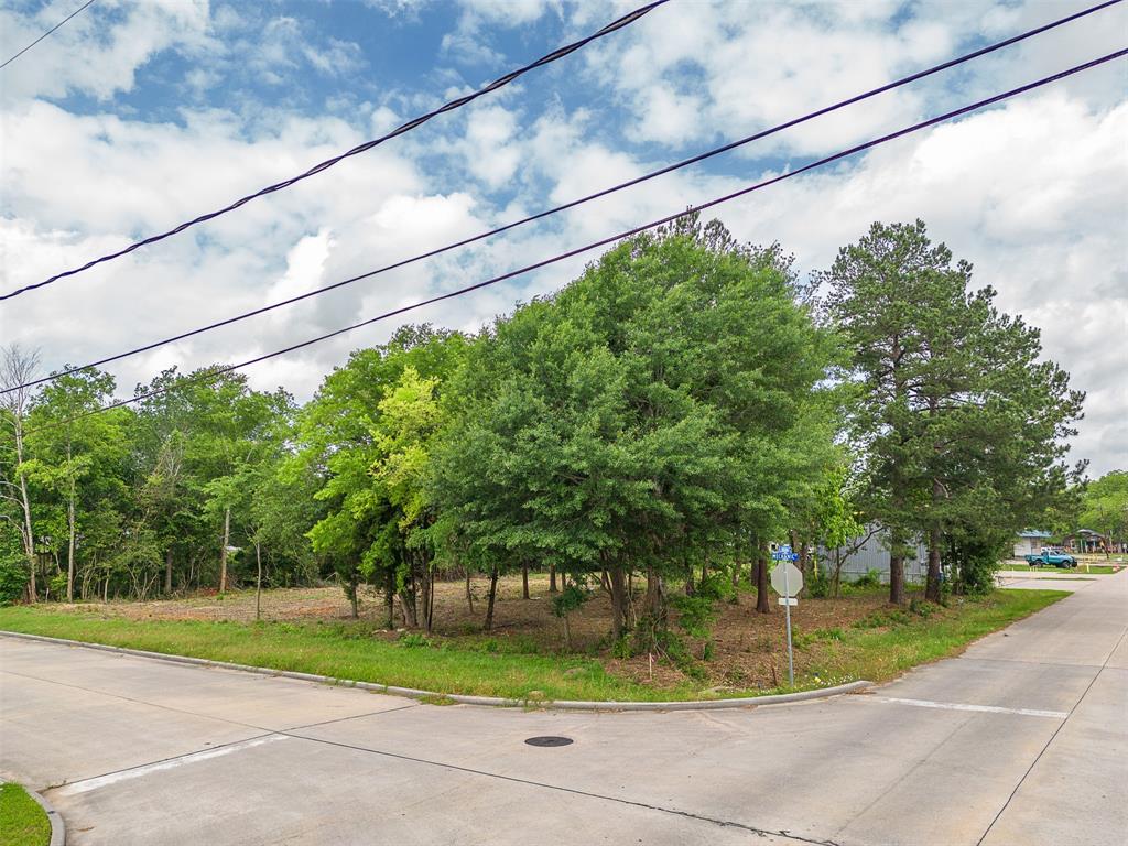 Lot 1 Block 1 Mechanic Road, Tomball, Texas image 23