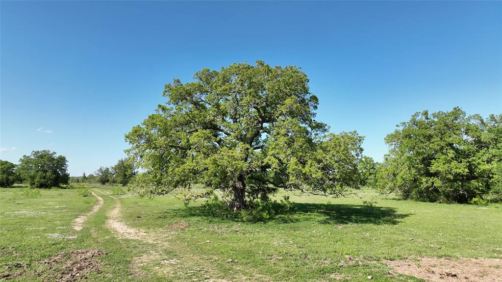 00 County Road 127, Ledbetter, Texas image 22