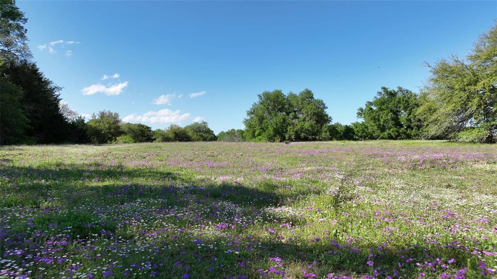 00 County Road 127, Ledbetter, Texas image 6