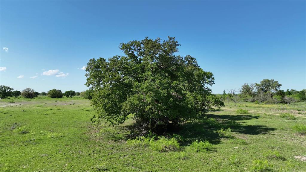 00 County Road 127, Ledbetter, Texas image 26