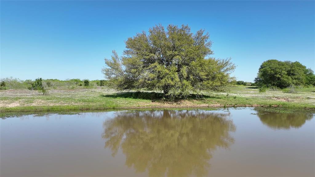 00 County Road 127, Ledbetter, Texas image 29