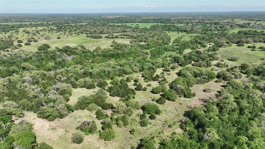 00 County Road 127, Ledbetter, Texas image 16