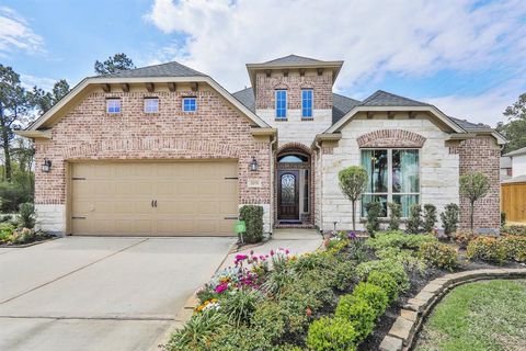 2031 Bradbury Woods Drive Spring TX 77373