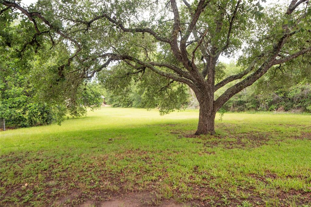 5150 Sandy Creek Lane, Brenham, Texas image 5