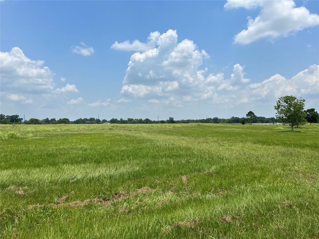 3202 & 3142 Pearce Drive, Rosharon, Texas image 5