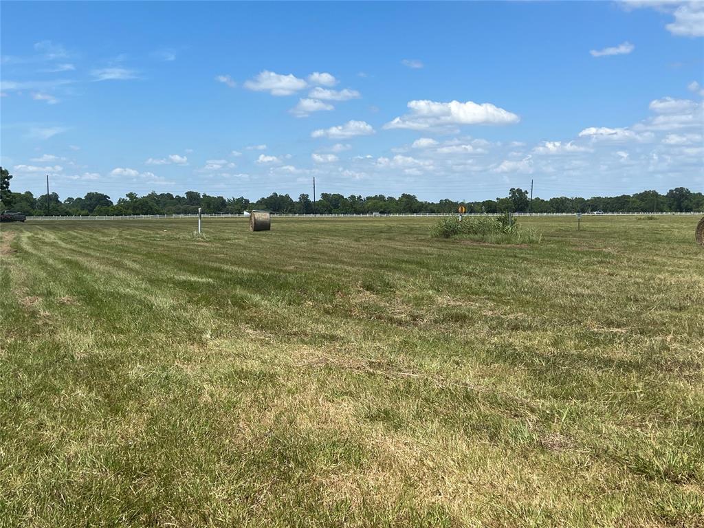 3202 & 3142 Pearce Drive, Rosharon, Texas image 13
