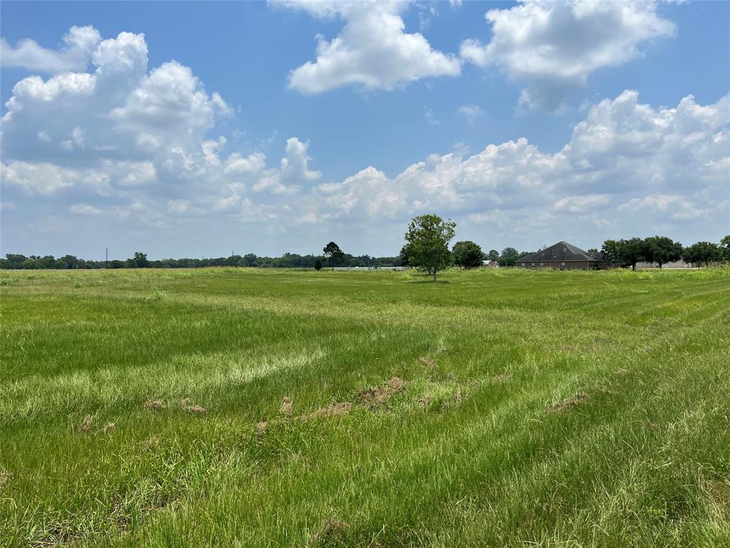 3202 & 3142 Pearce Drive, Rosharon, Texas image 7