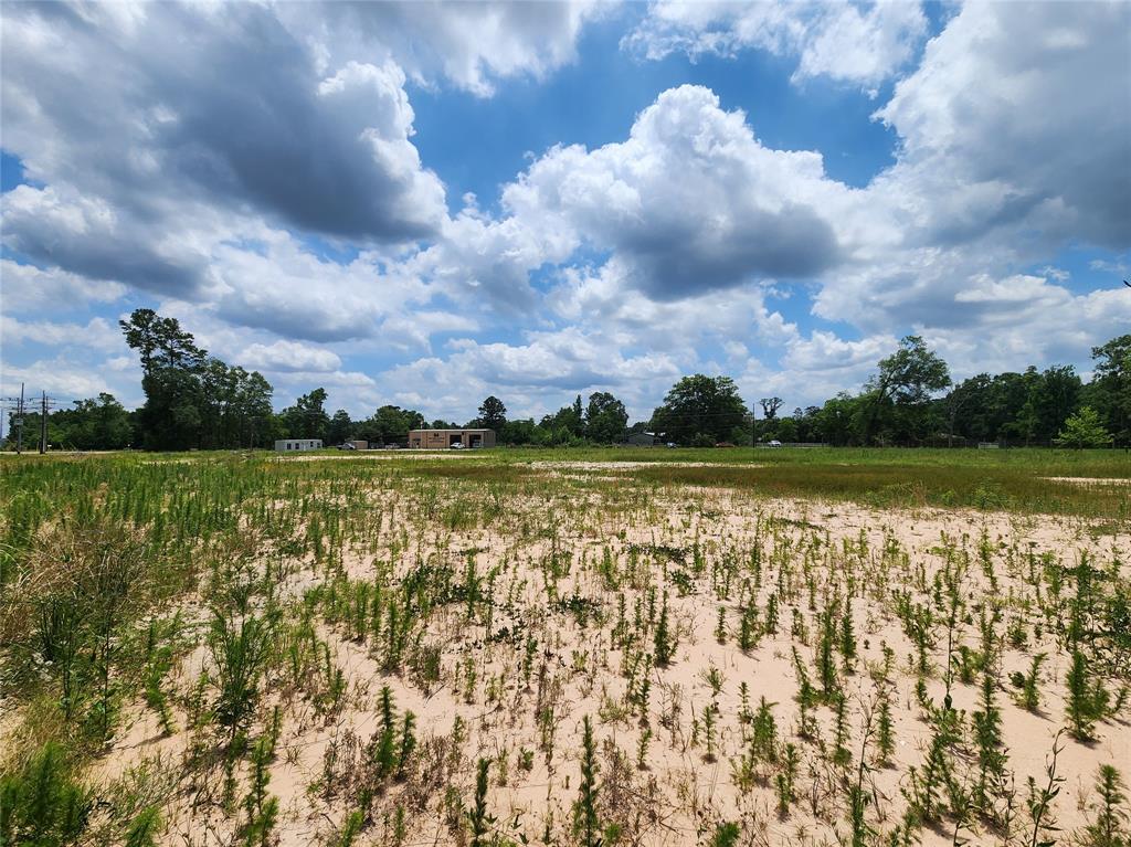 15027 Calhoun Road, Conroe, Texas image 6