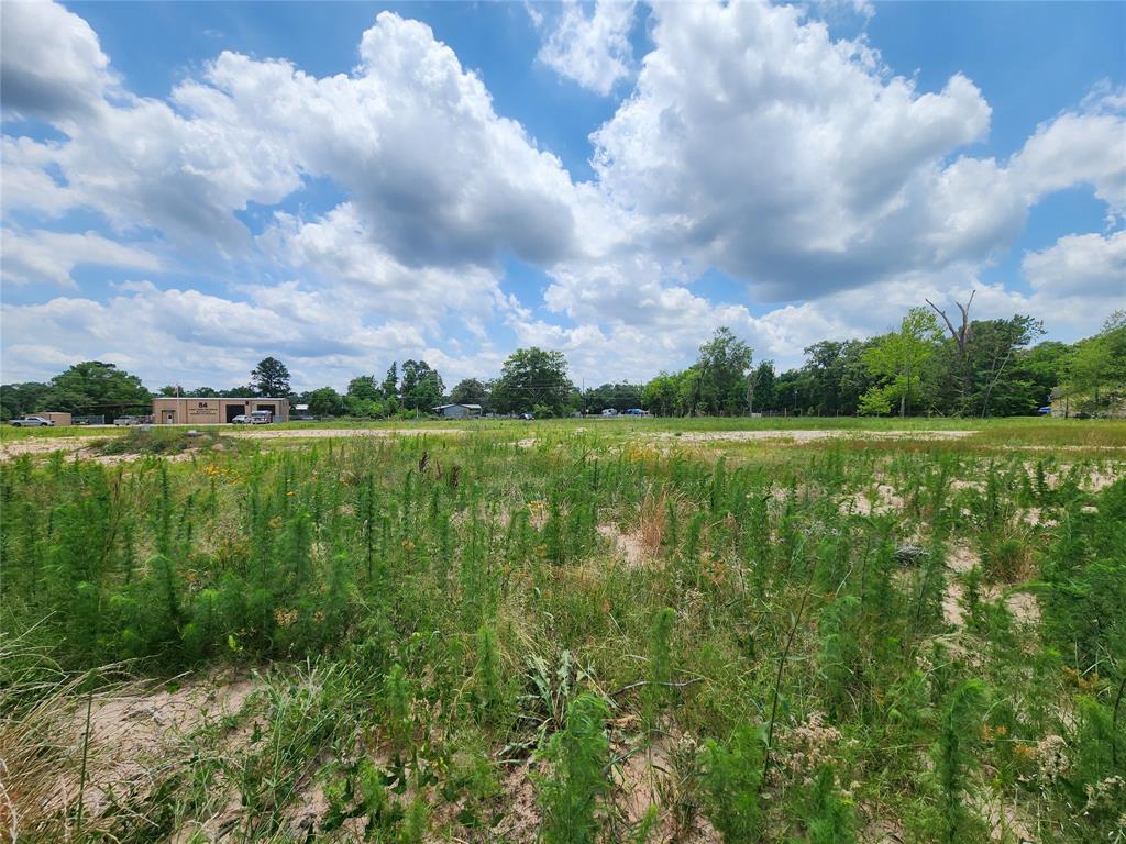 15027 Calhoun Road, Conroe, Texas image 8