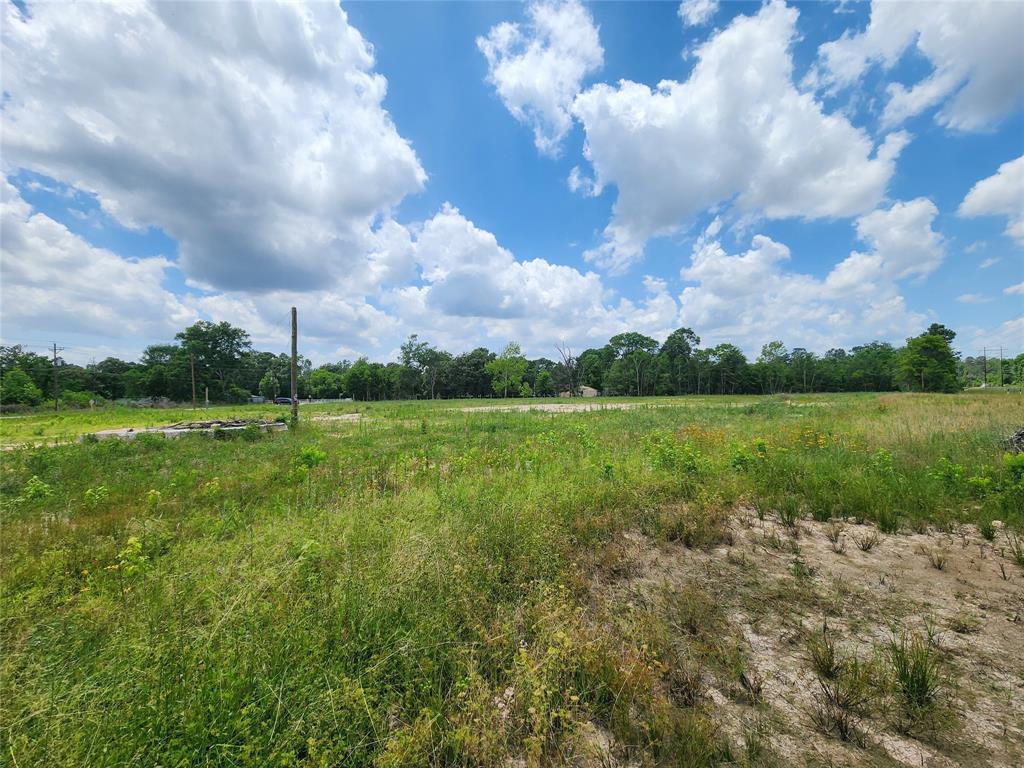 15027 Calhoun Road, Conroe, Texas image 10