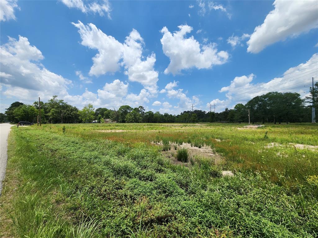 15027 Calhoun Road, Conroe, Texas image 14